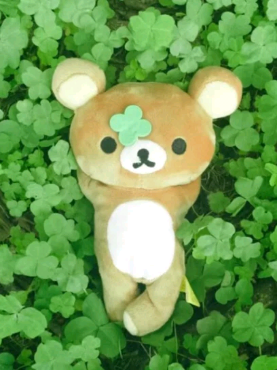 @˗ˋˏ mia ♡'s sunoo ˎˊ˗