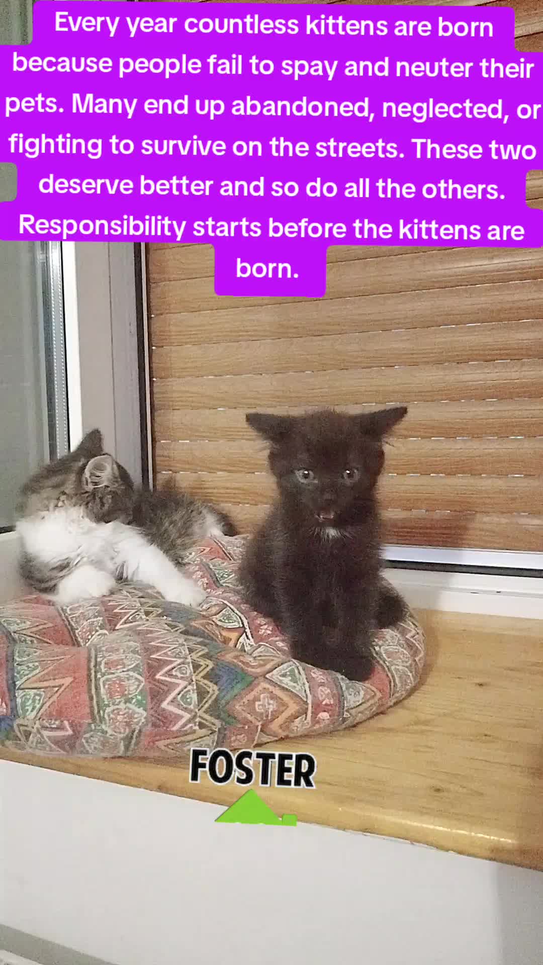 @MicroCat🐈&zwj;⬛Kaya🐈&zwj;⬛🩷💎