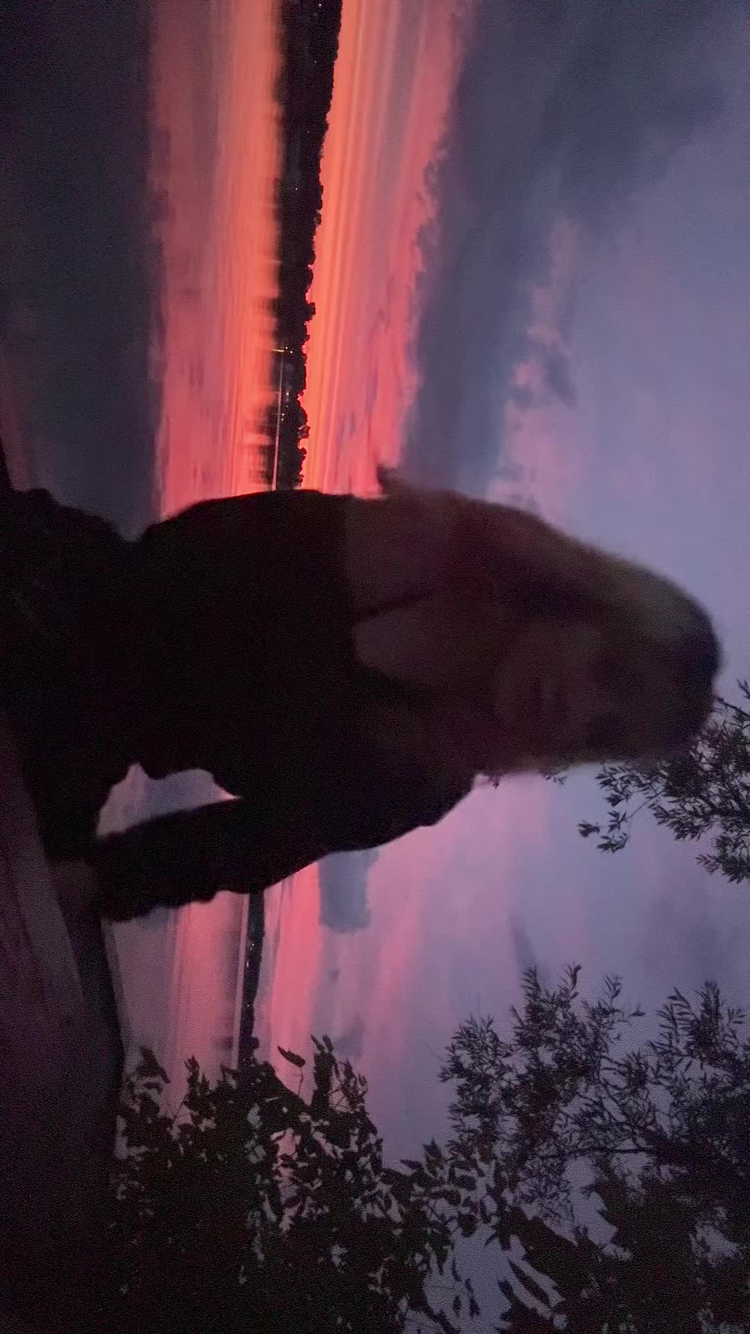 @notbakedtiara