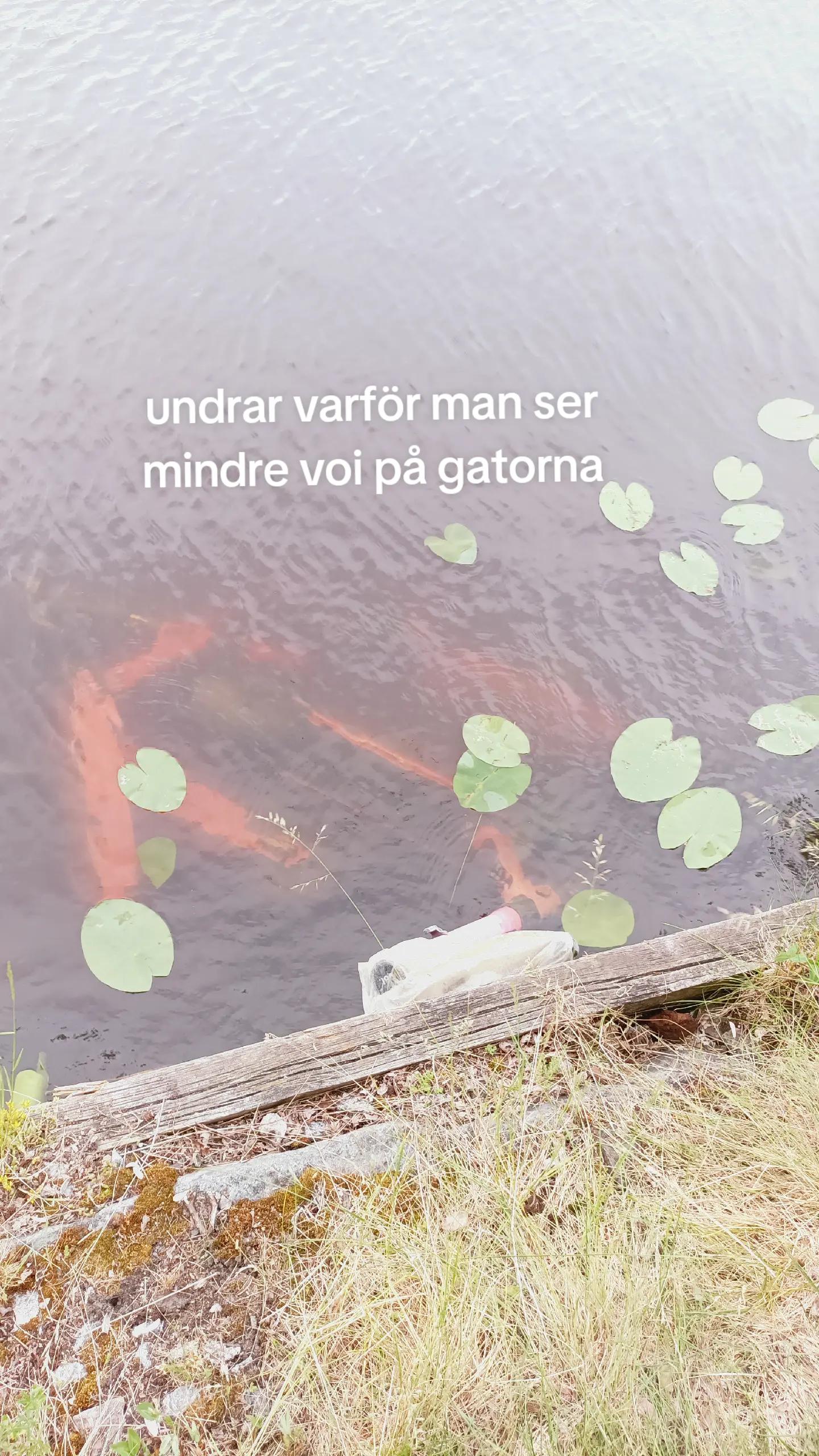 @Vetterstorp Kurden