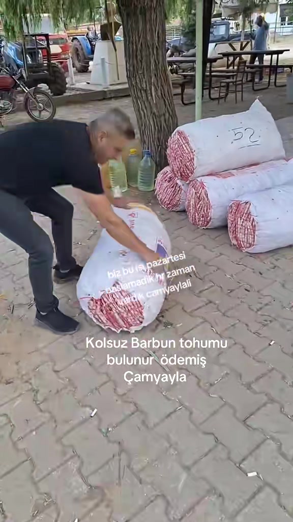 @&Ccedil;amyayla lı 3535