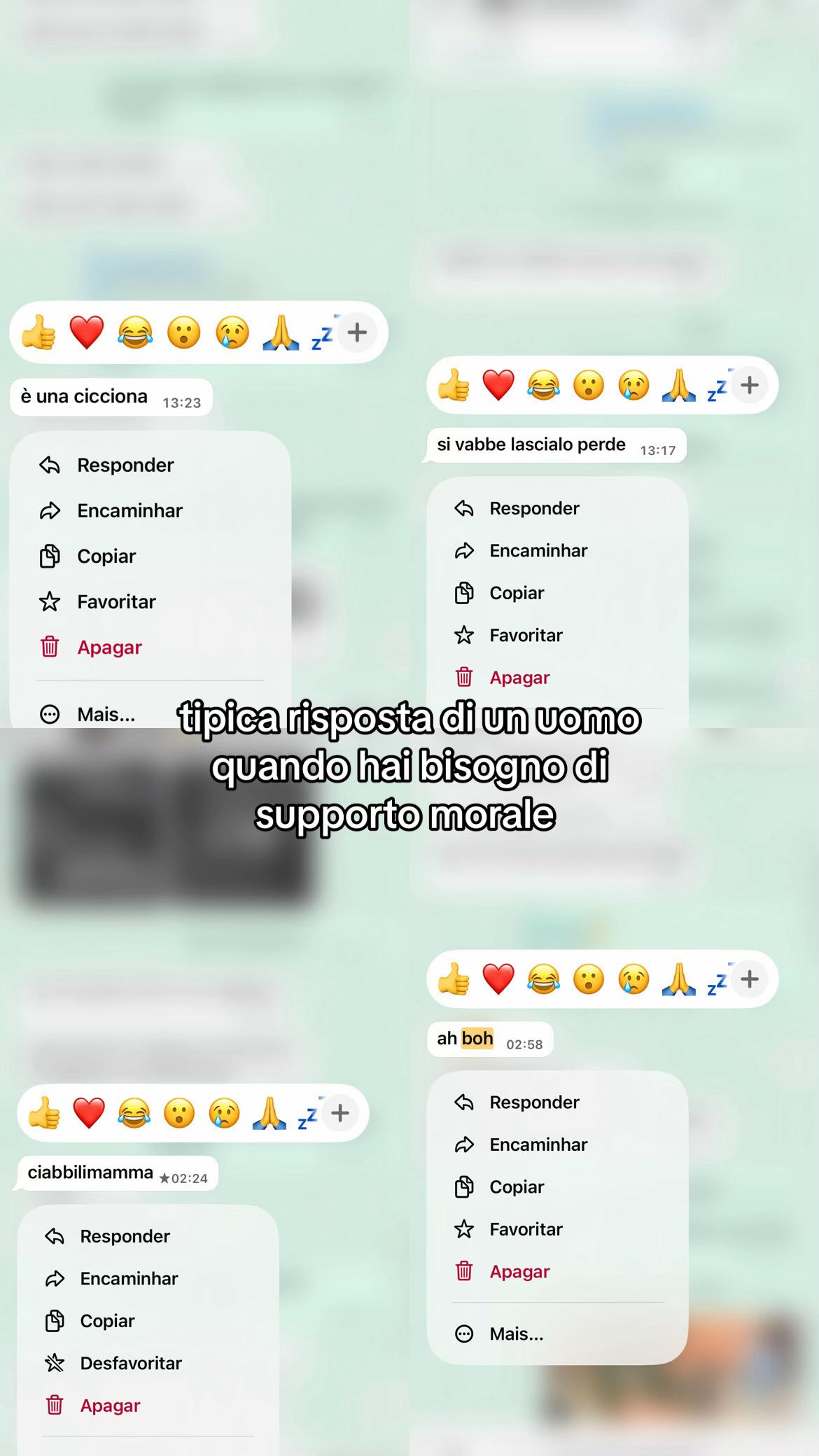 @🇧🇷