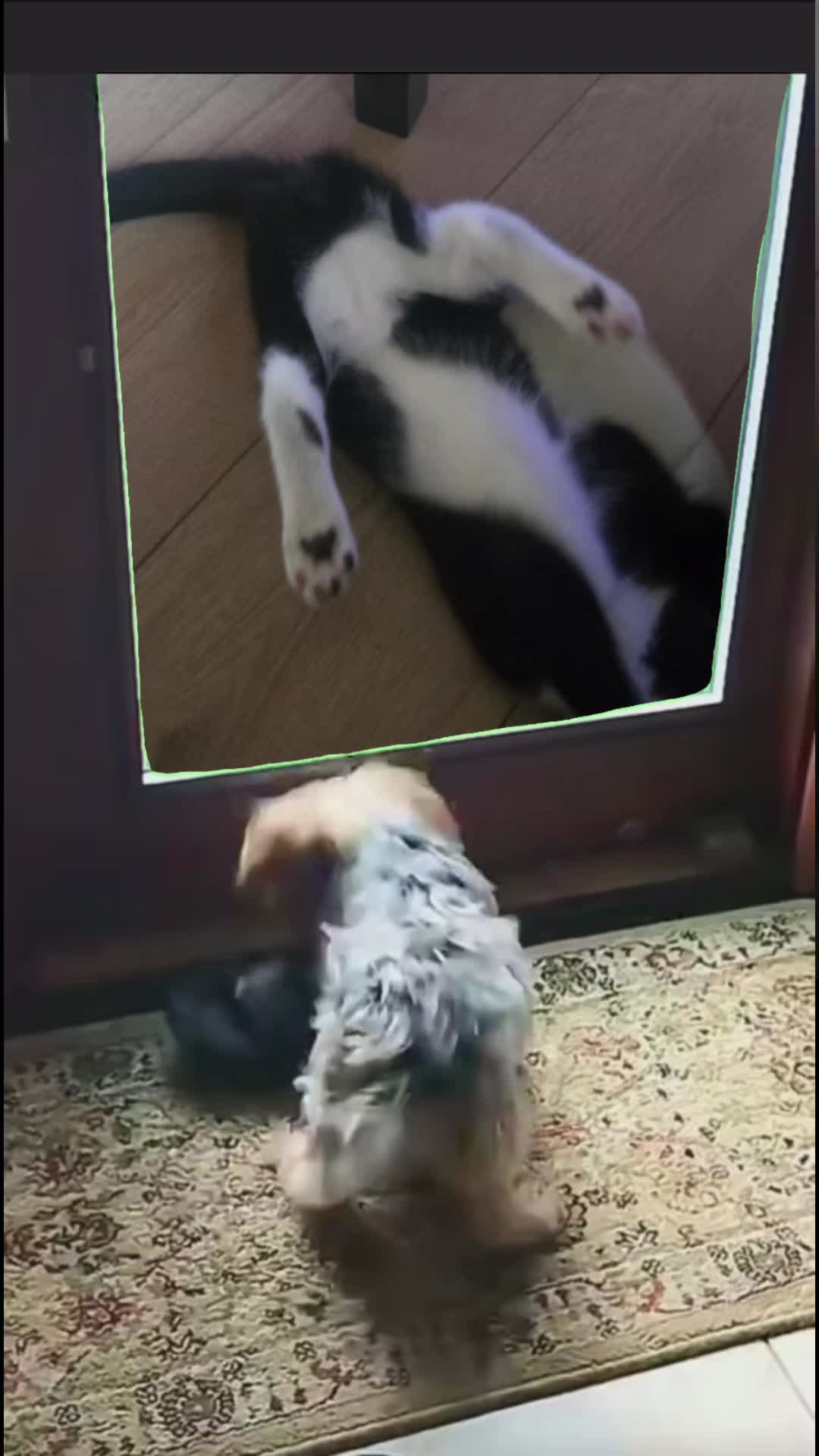 @ᖇᗩᑎᗪOᗰ GIRL 😻☠️😶🤣