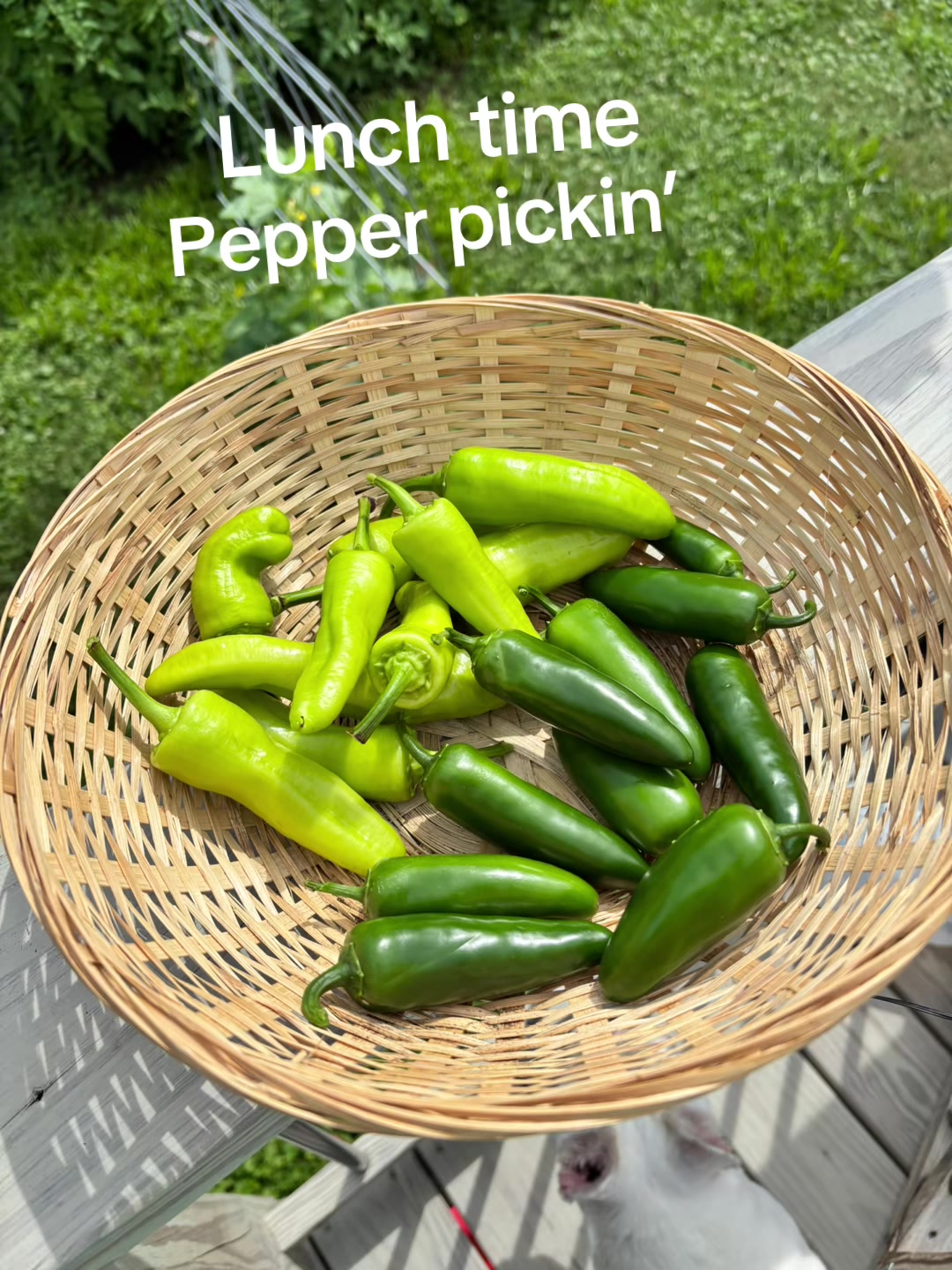 @Seeds_to_Tables