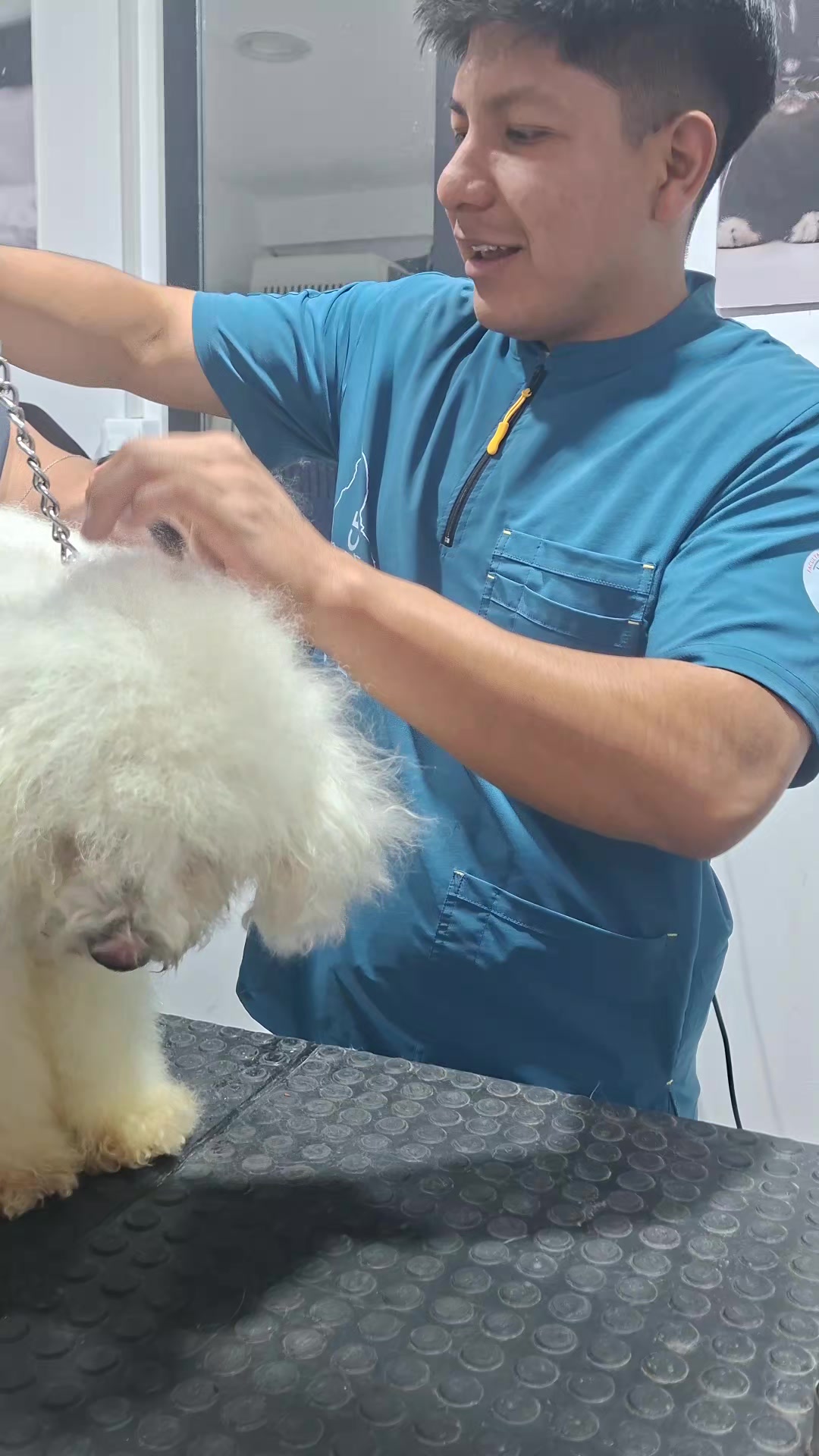 @Veterinaria Dr. C.A.M. Vet 🐩