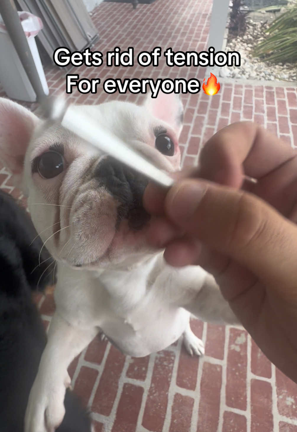 @BsbSticks