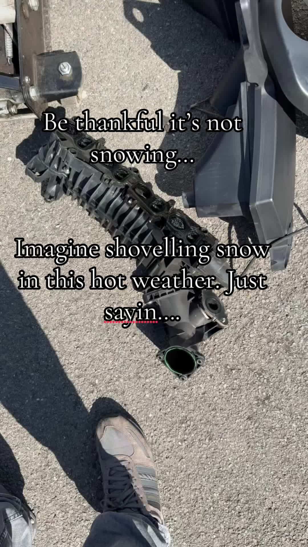 @Alfie