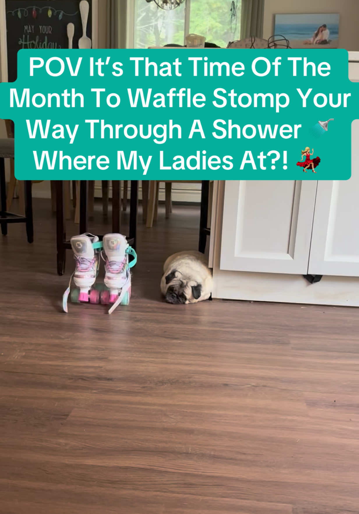 @PEARL - Quadruple-Amputee Pug