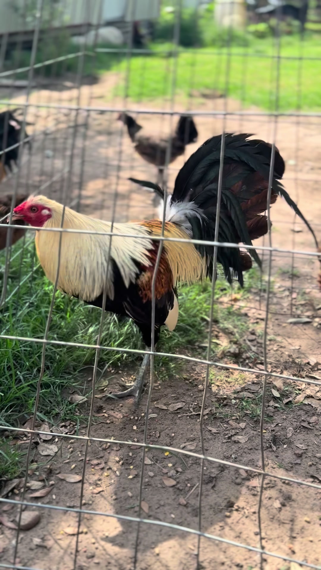 @Bryan Gamefarm