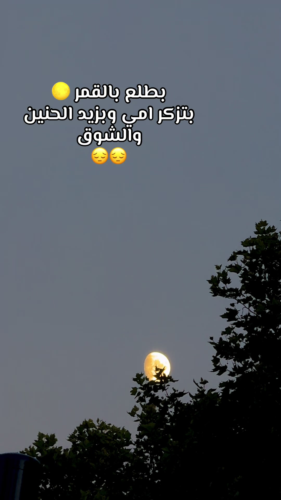 @Fatima 🇸🇾