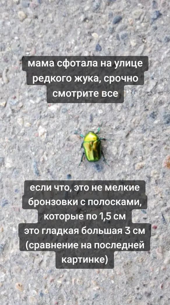 @Арсений