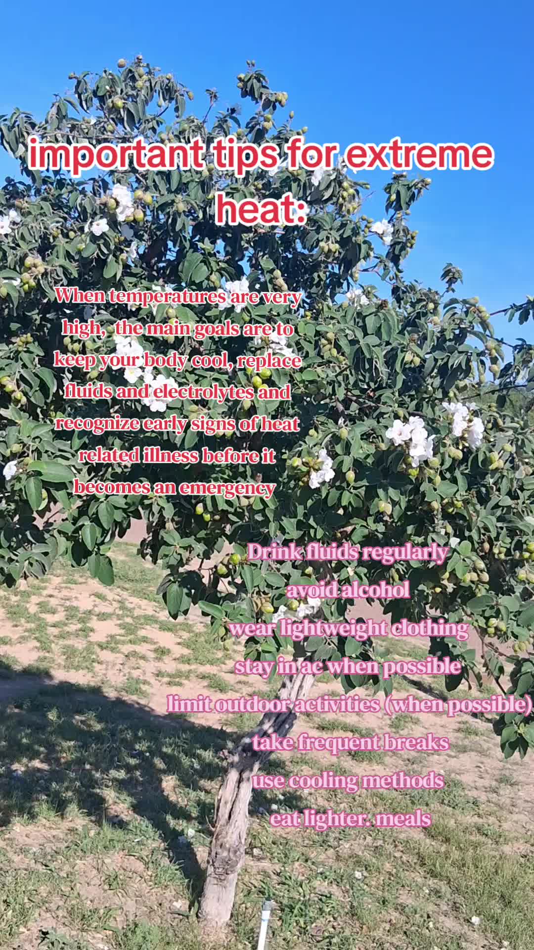 @Mysweetaudrinaa