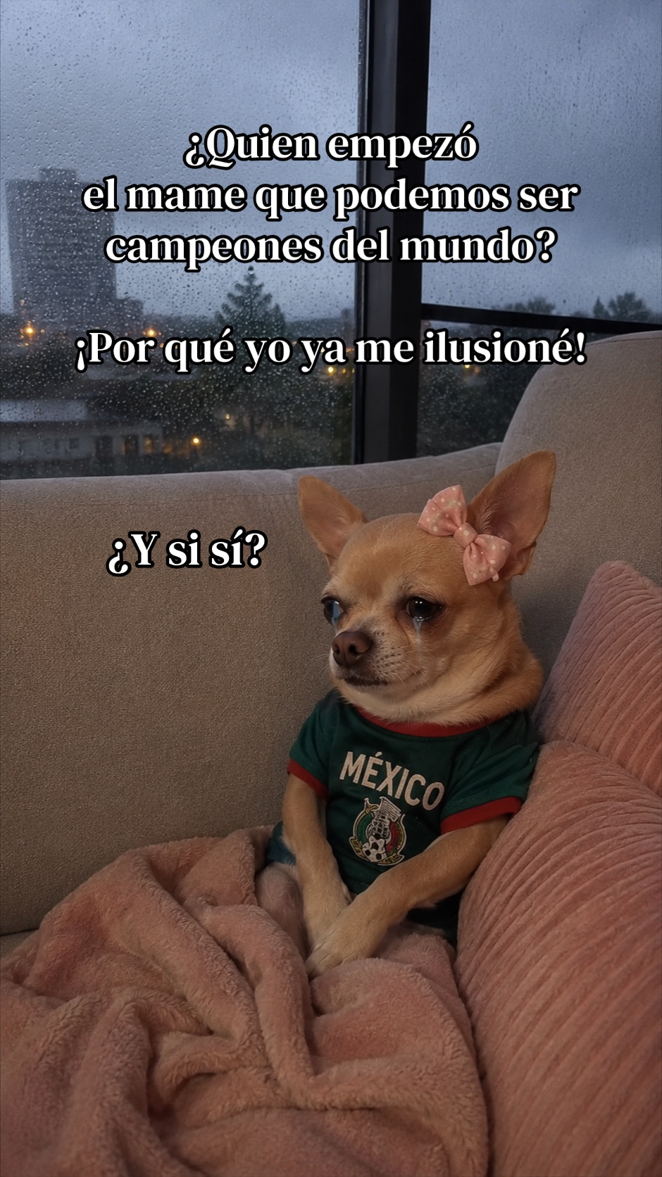 @palomina-