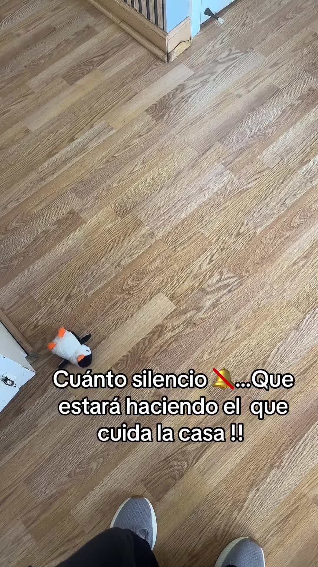 @Blanka Solorzano