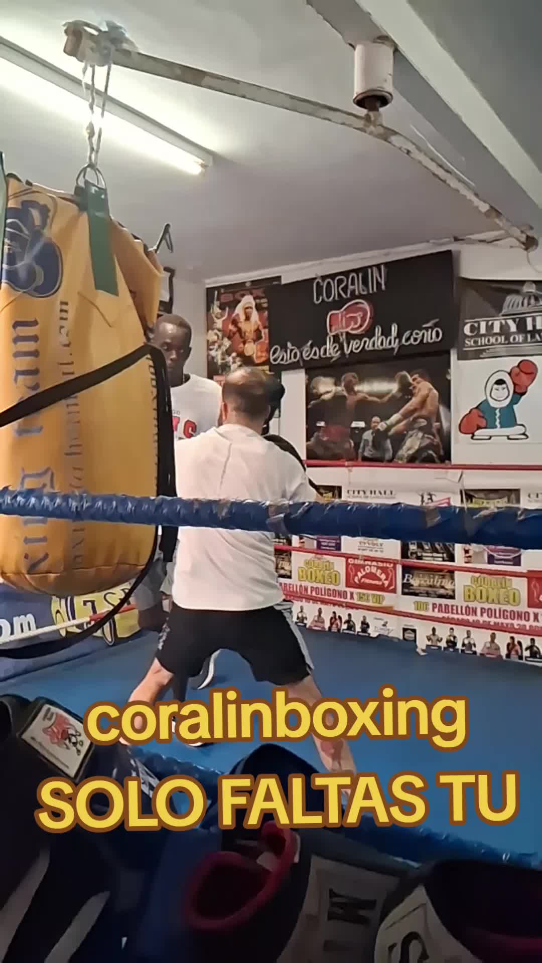@Coralingboxing72