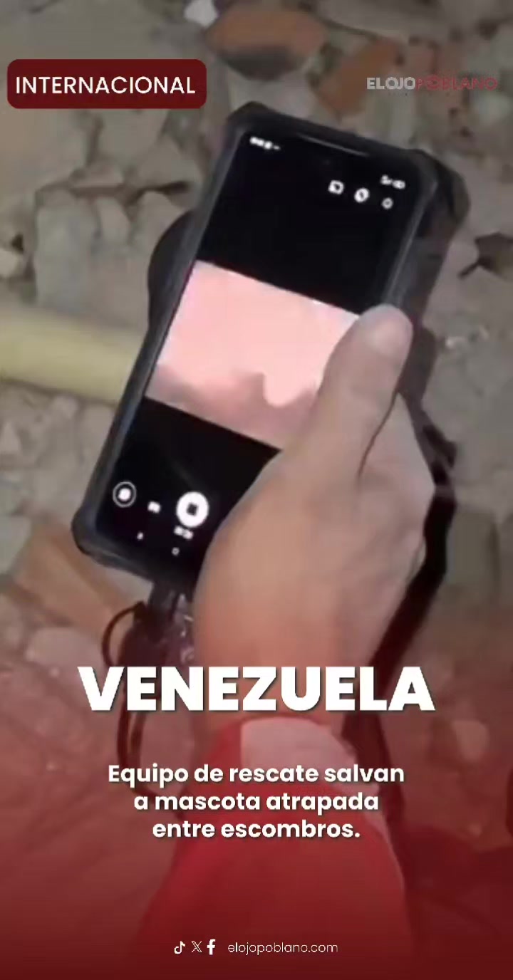 @elojopoblano