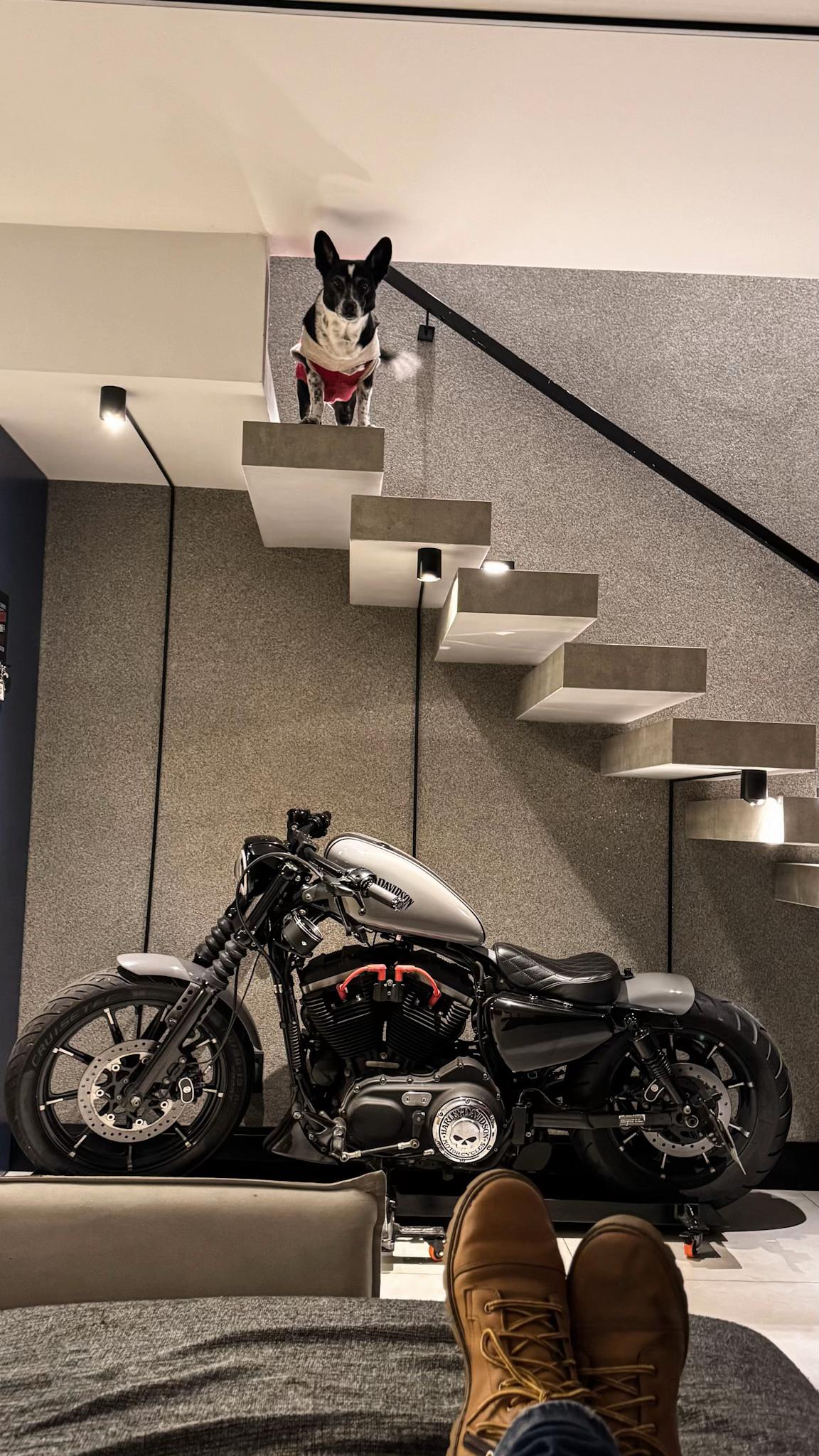 @Fabiano 883 bobber 🇧🇷