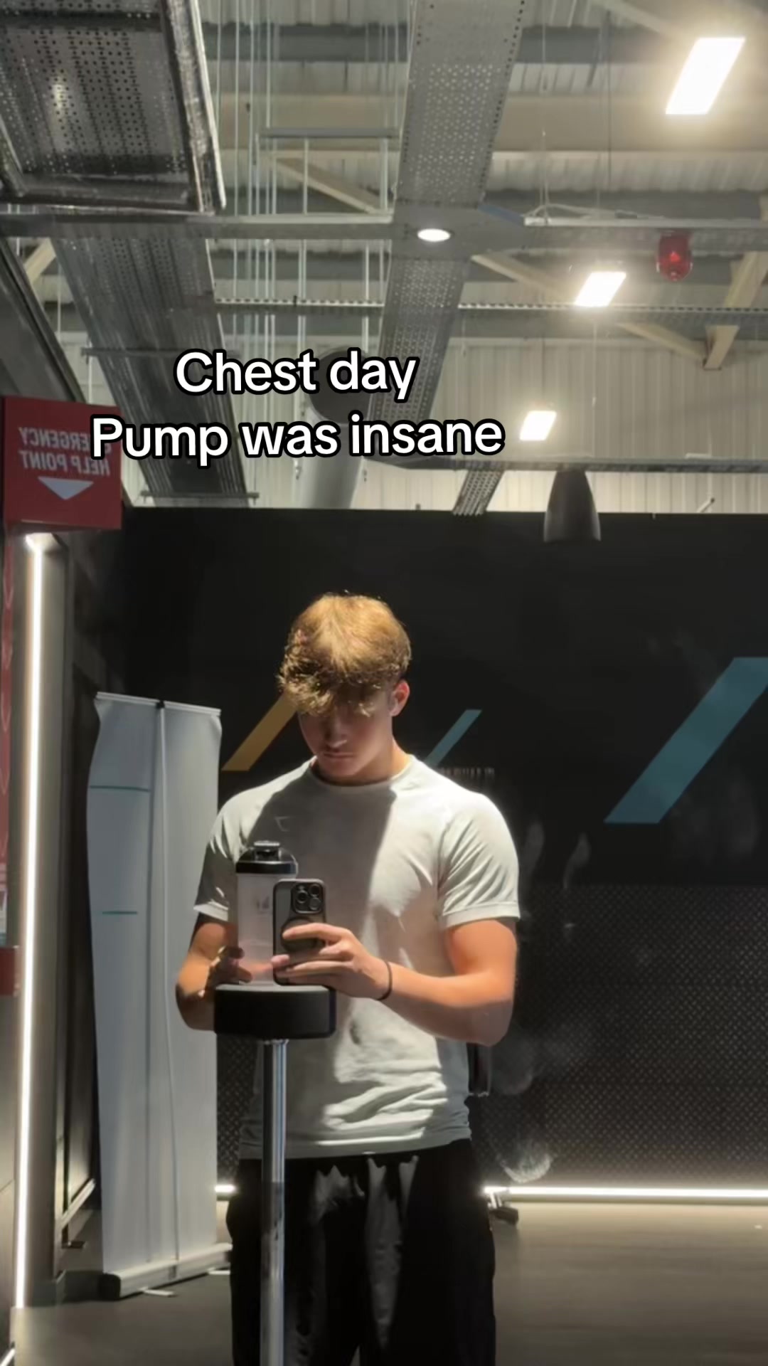 @dolphs.gym
