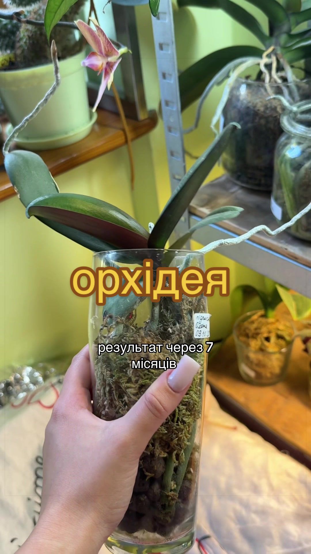 @🧚леся🧚