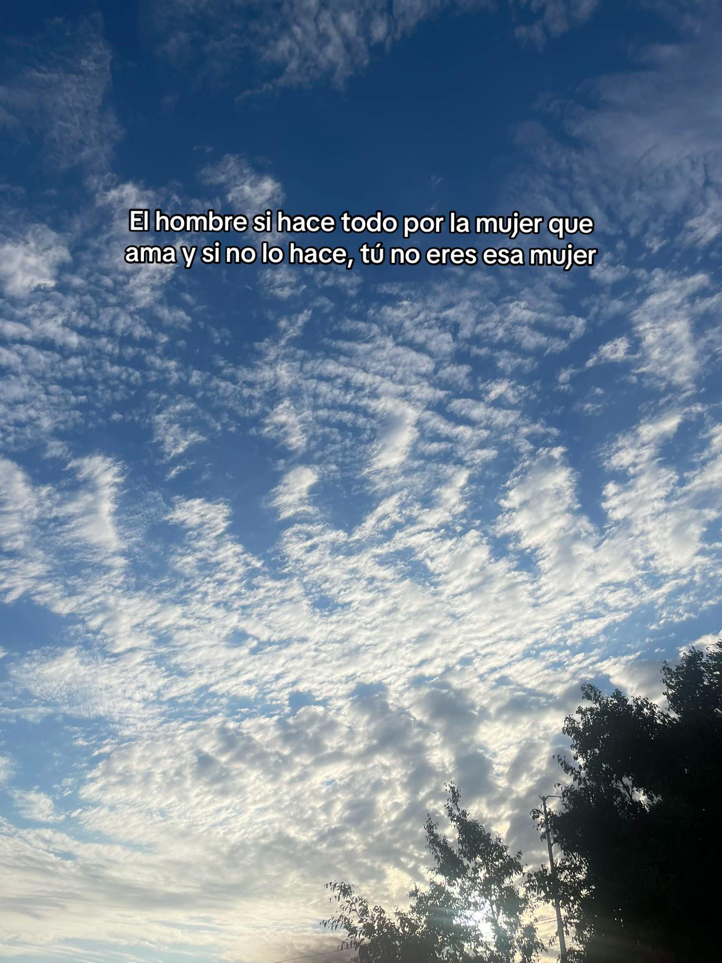 @Lizeth Velazquez