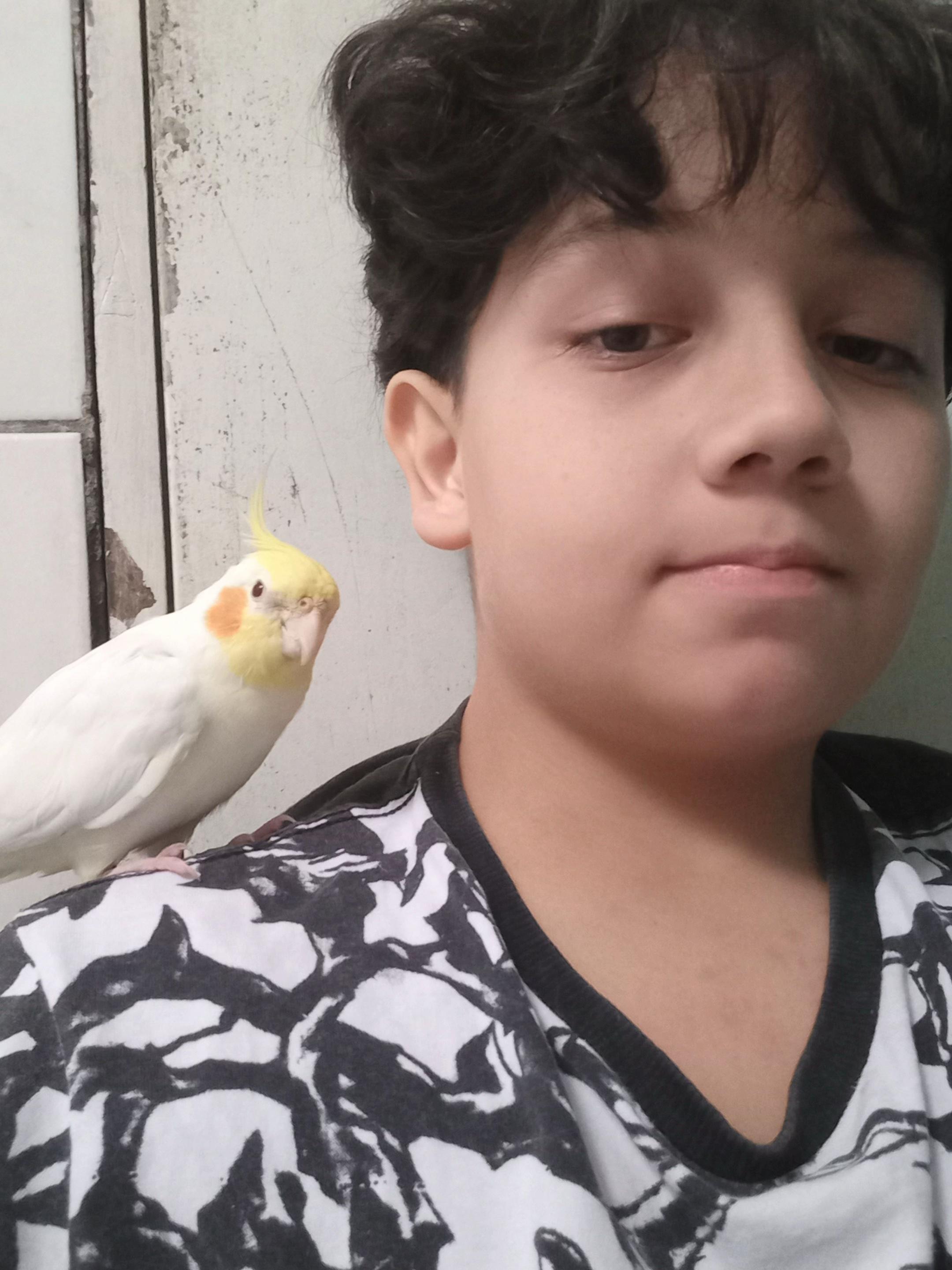@gbz 🕊️