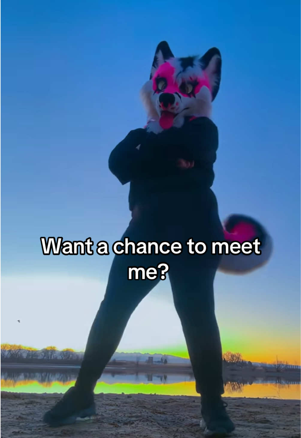 @pinkgeminihuskyofficial