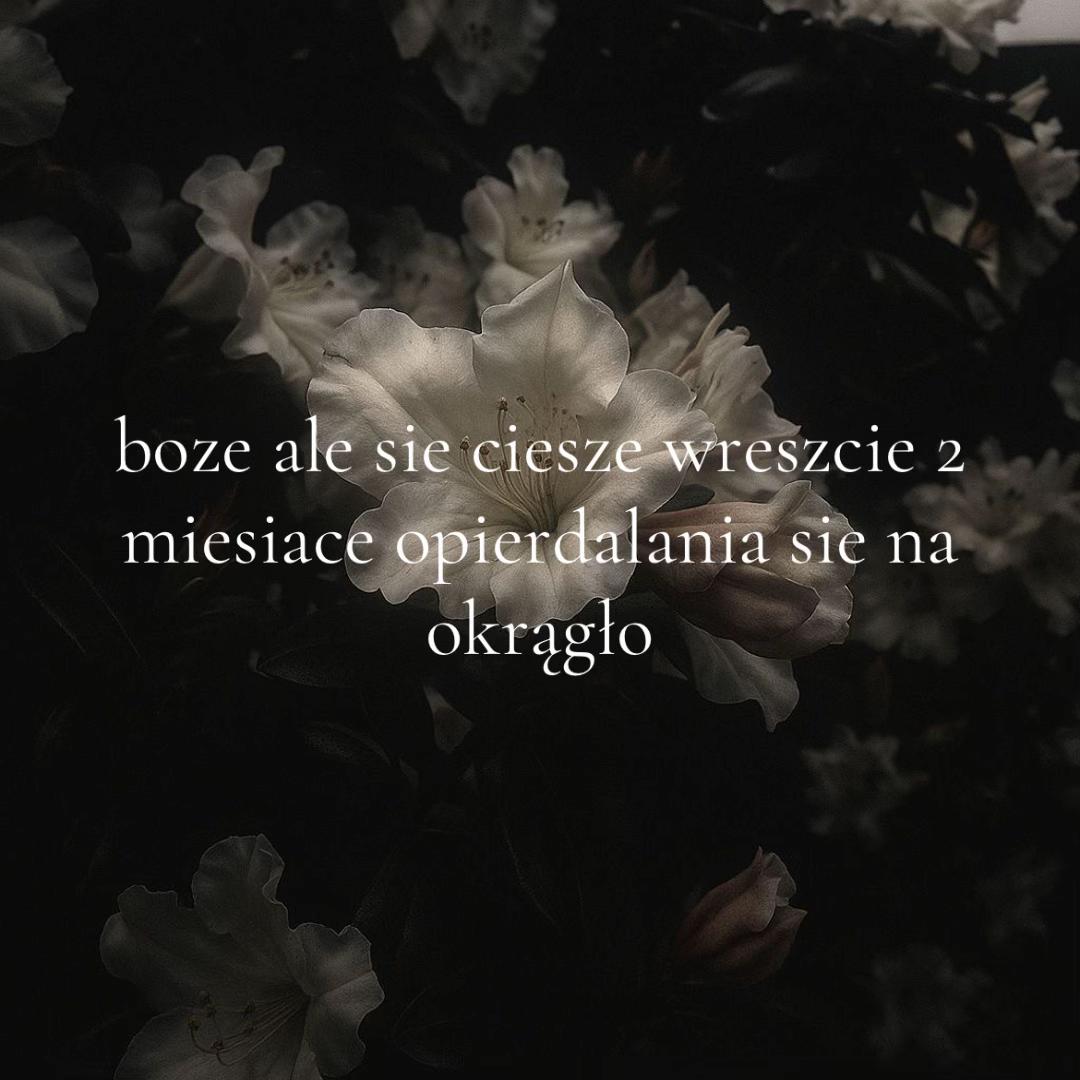 @weronika