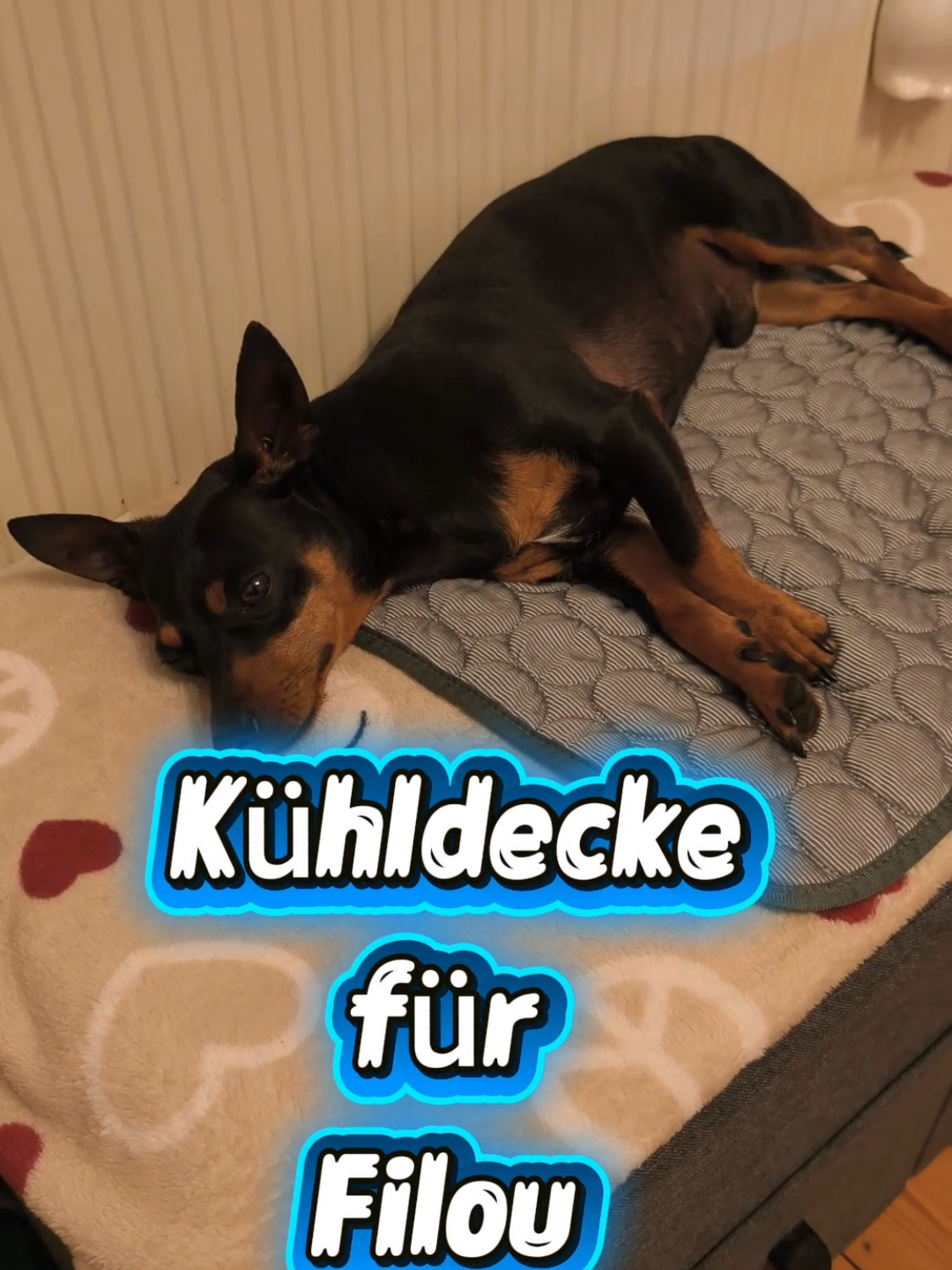 @ICH BIN'S