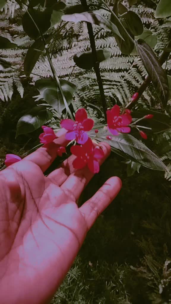 @🕉️💙Shini💙🕉️
