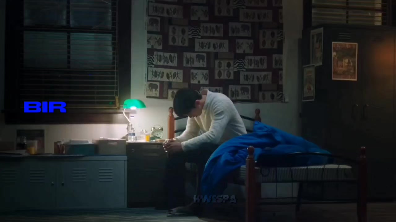 @⭐️