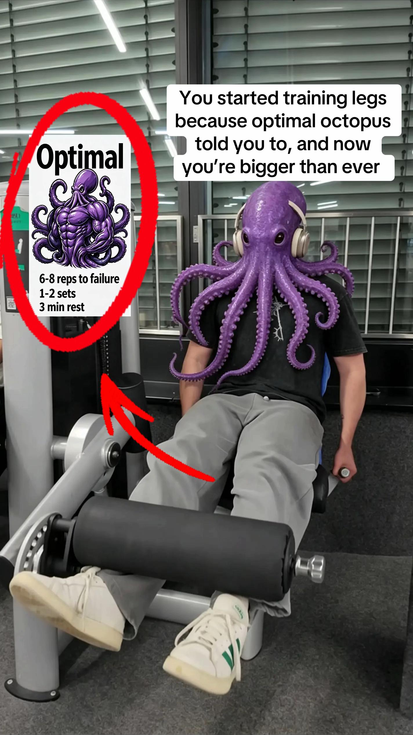 @Optimal Octopus