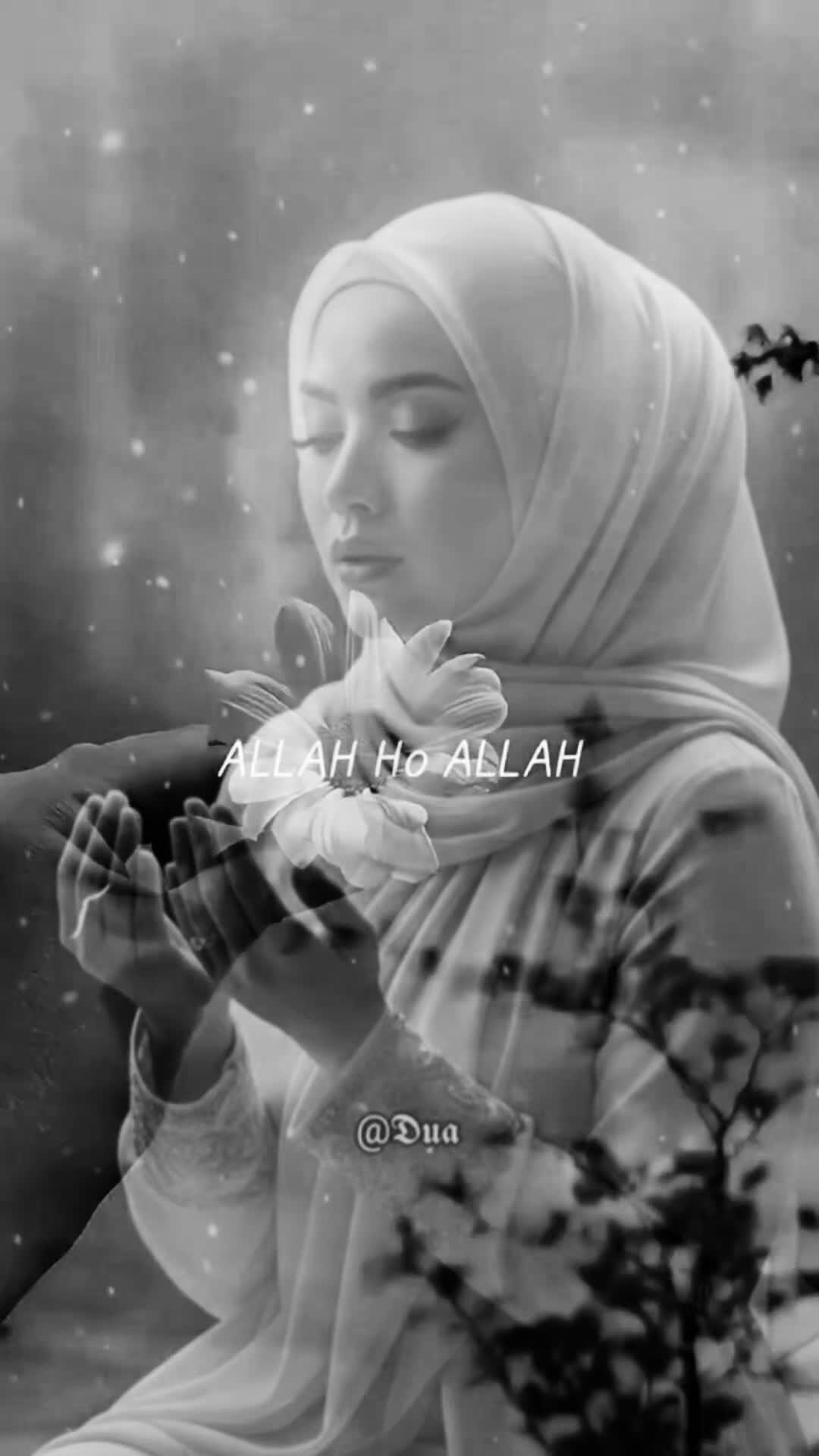 @🍃🌹🍃Merry🍃🌹🍃