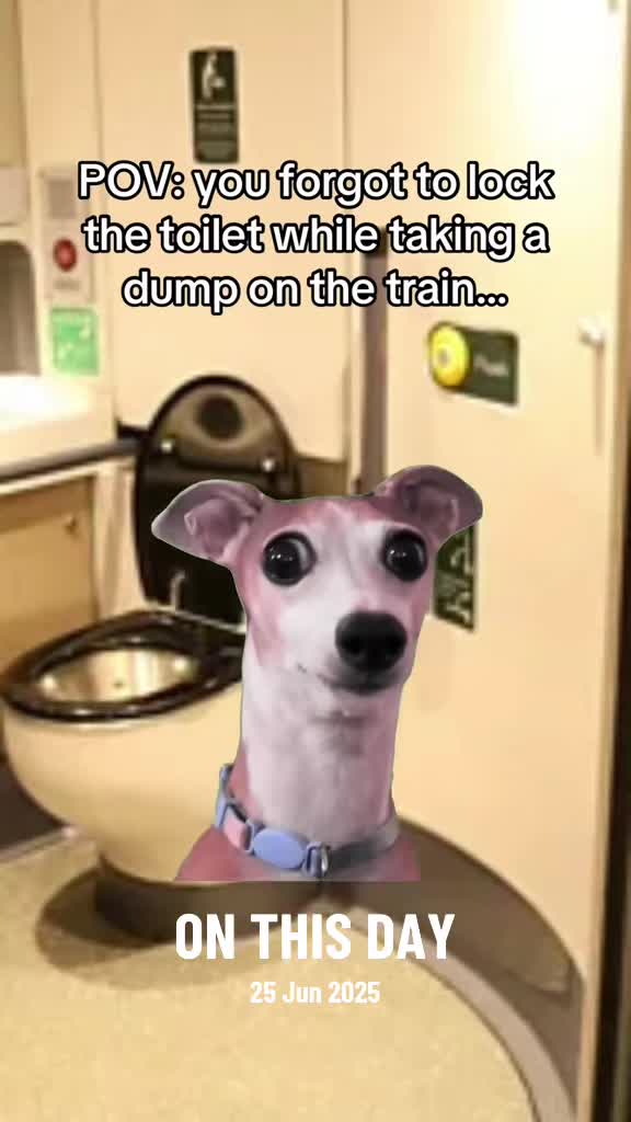 @Whatdoyoumemebro?