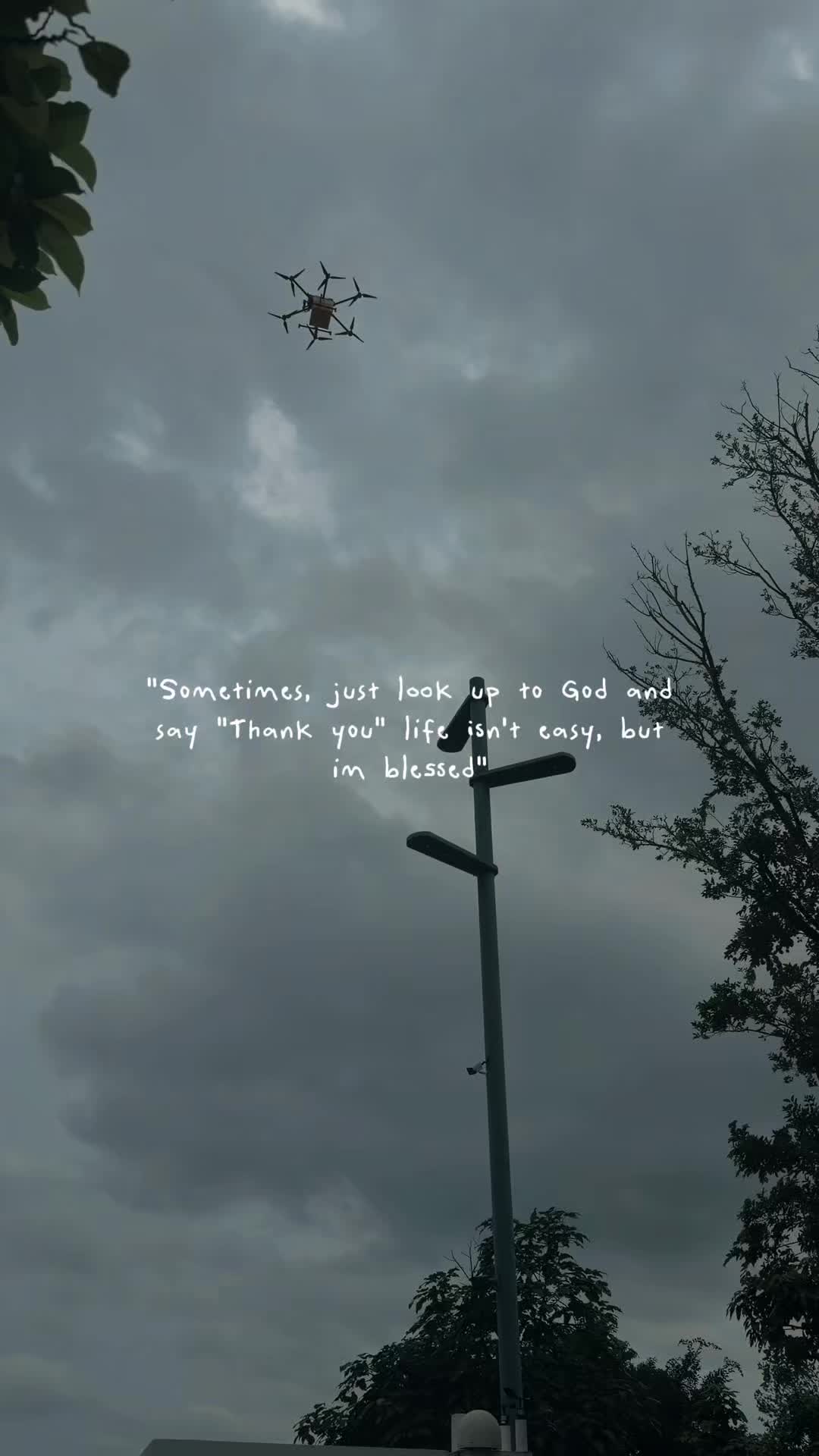 @Janelle Ng
