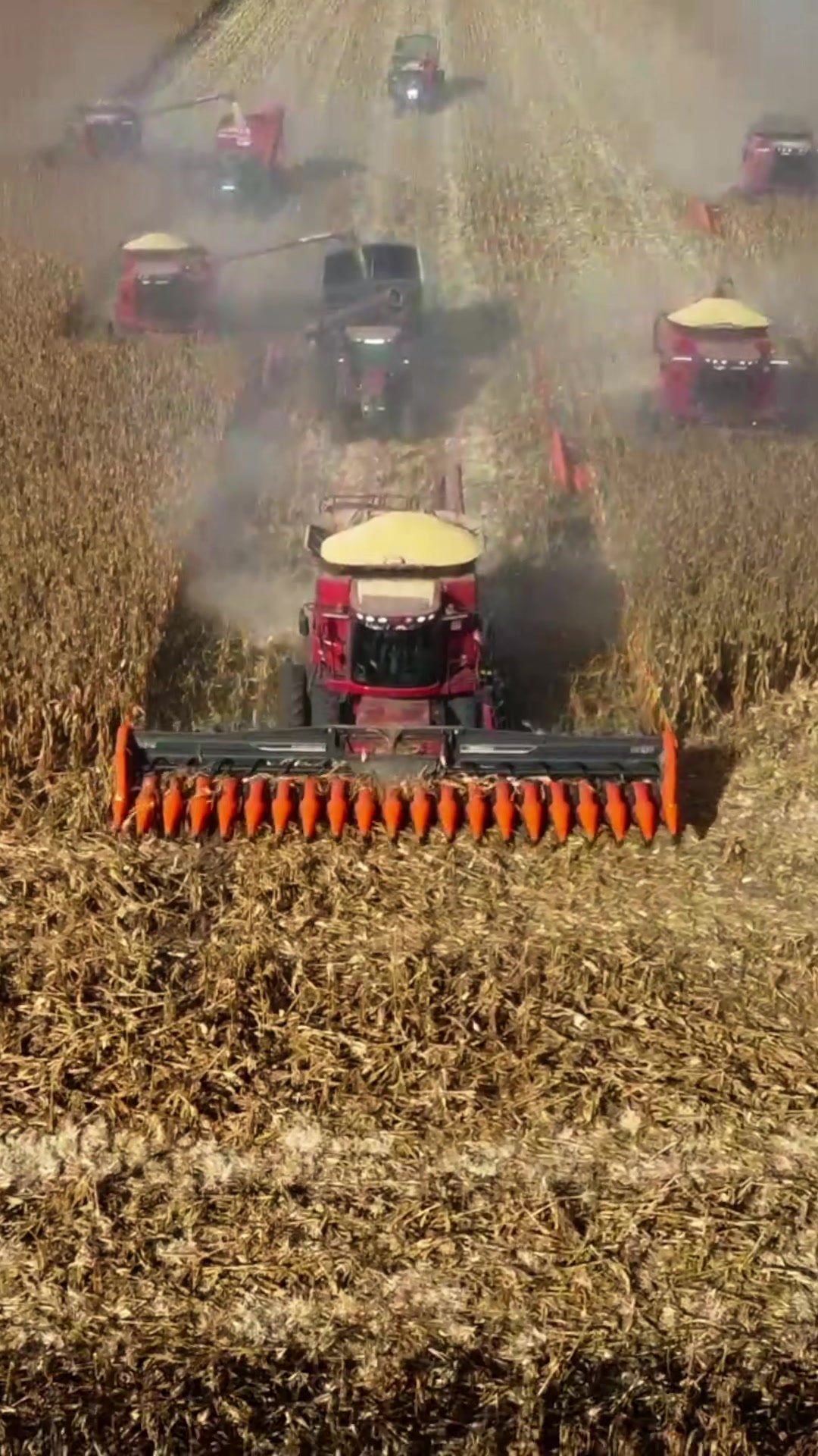 @Farm Watch