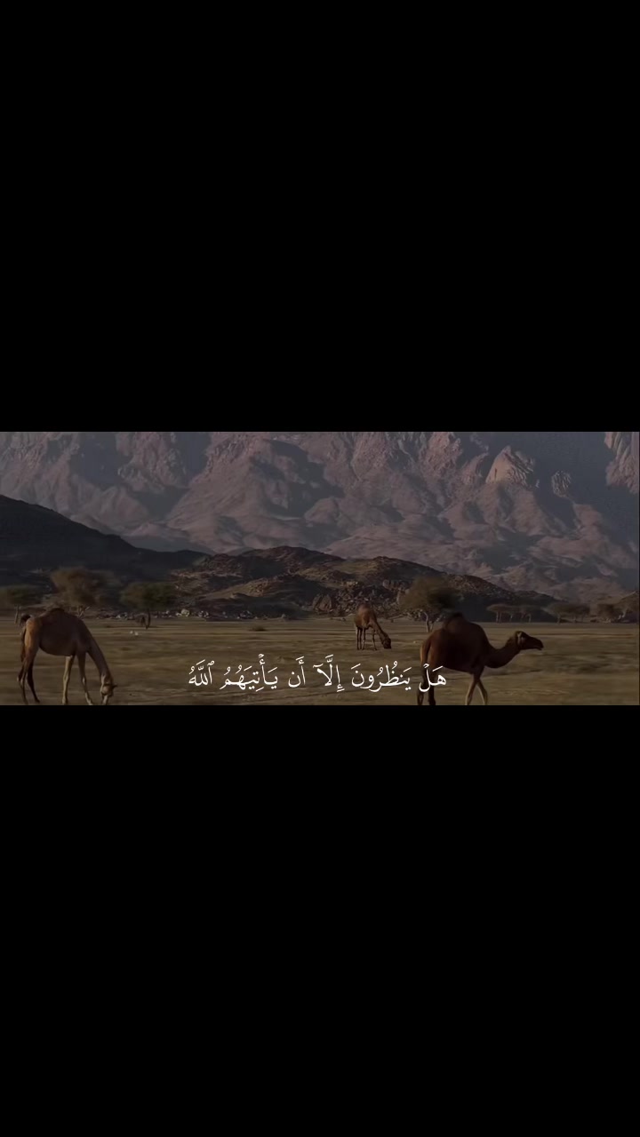 @علي الشريف🇸🇦