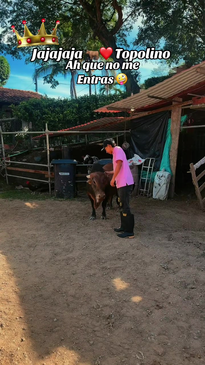 @lanena.1202