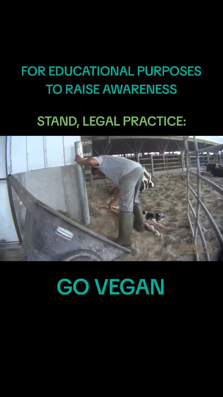 @Khaby Go Vegan