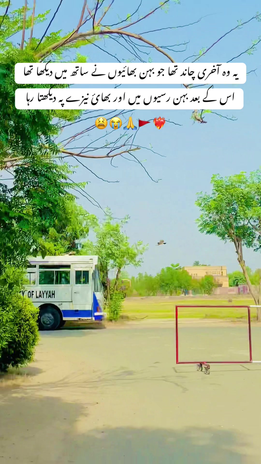 @Unknown Ashiq 🔆