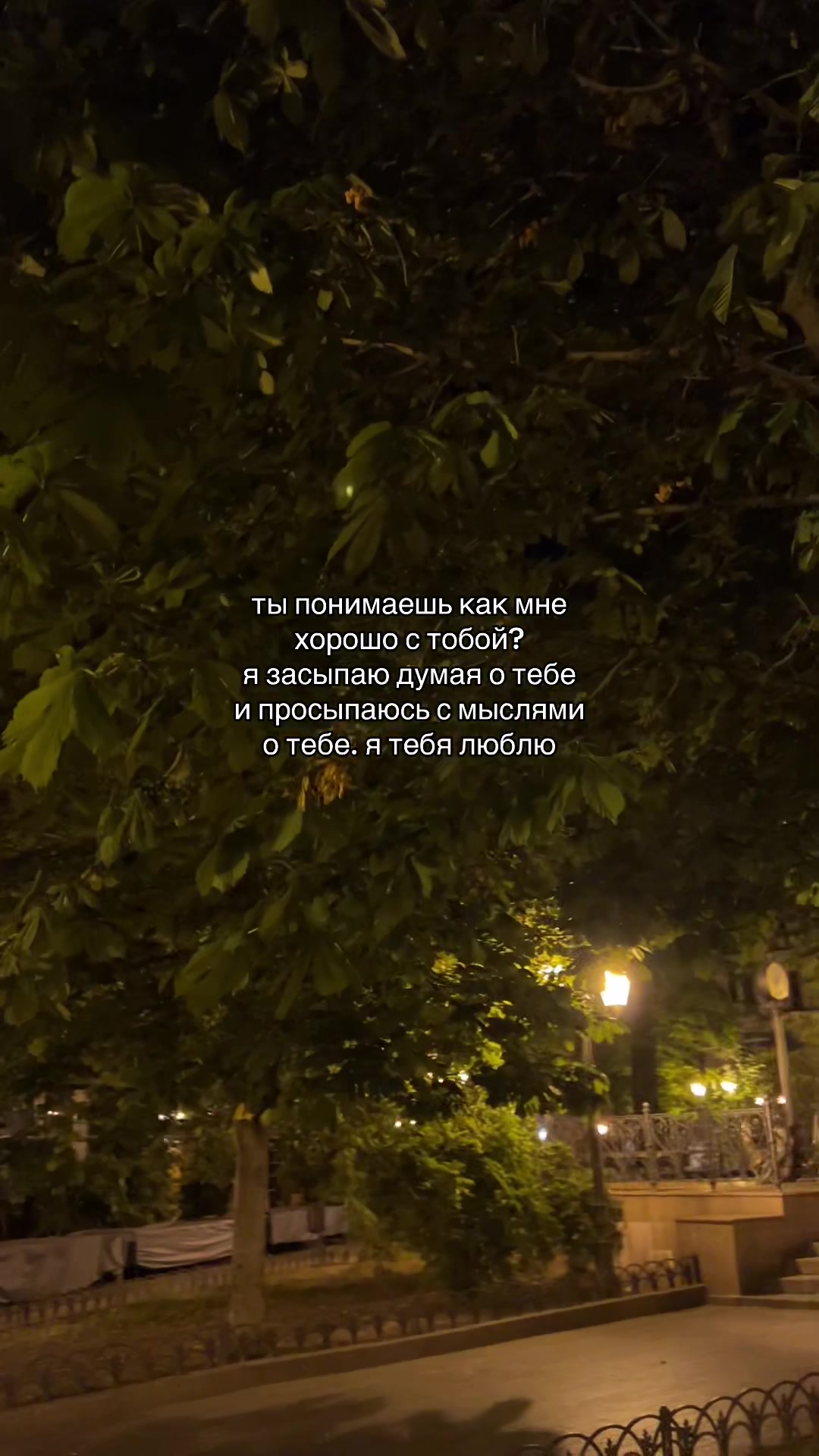 @кис кис💗