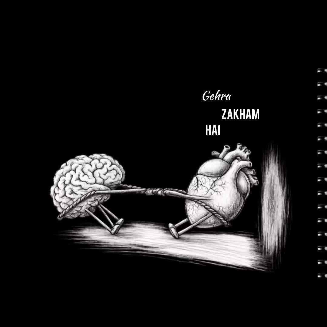 @ʟᴏꜰɪ ᴅʀᴇᴀᴍꜱ