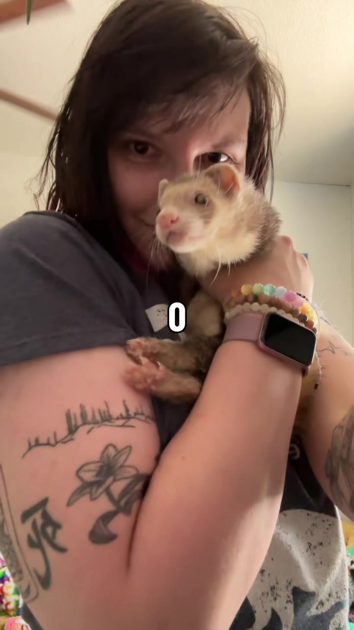 @midnightferret_