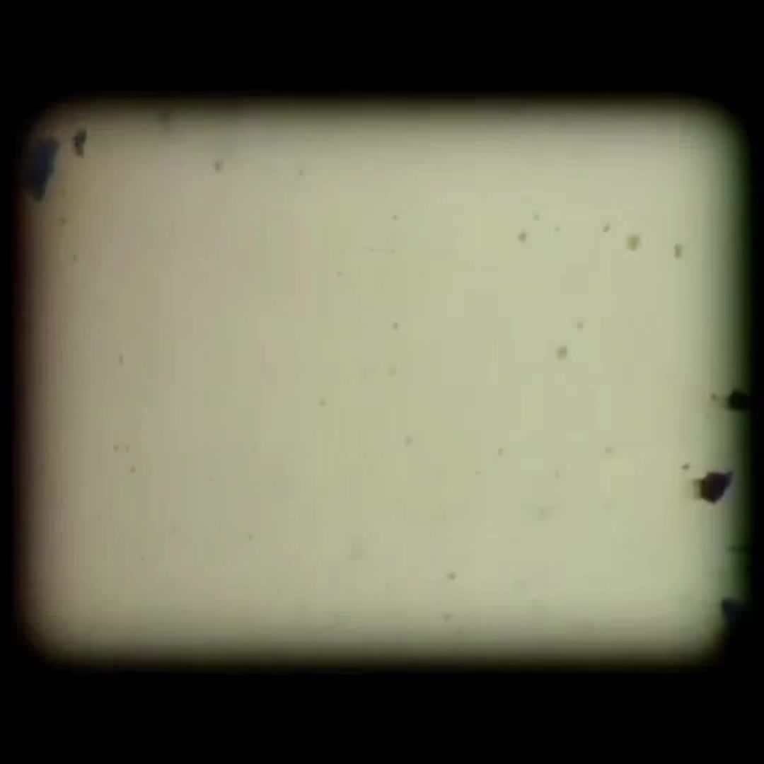 @grenelza &mdash; 𐦍༘⋆⋮