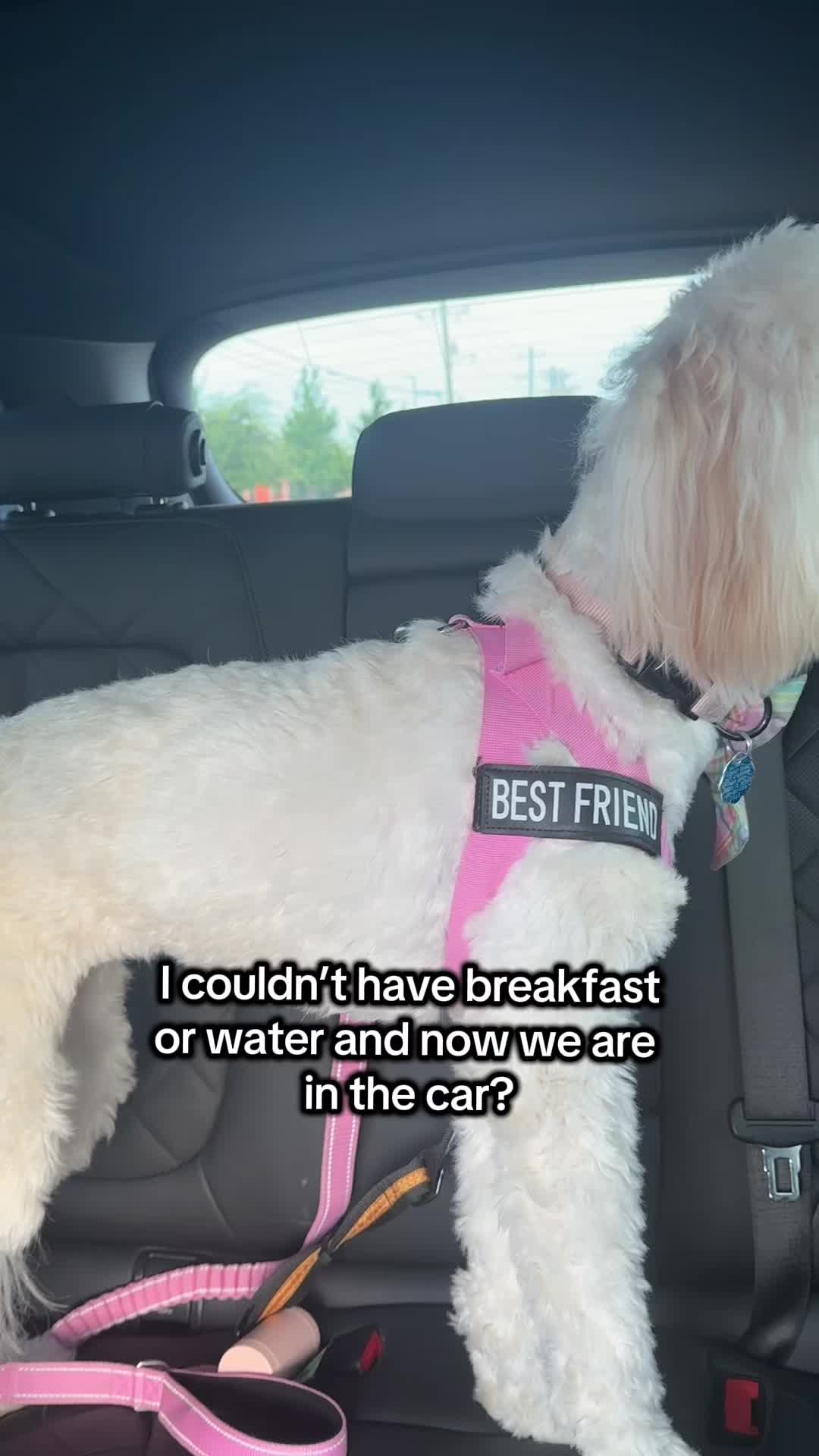@Lily and Mom
