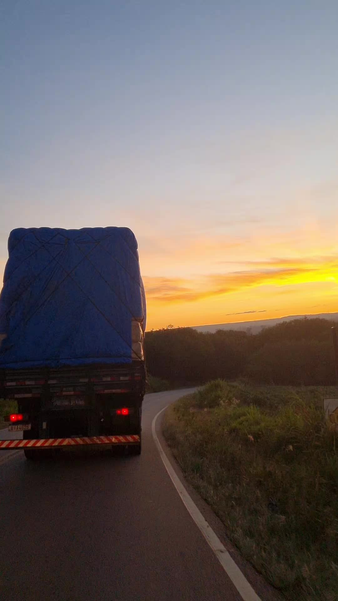 @meirecastilho932
