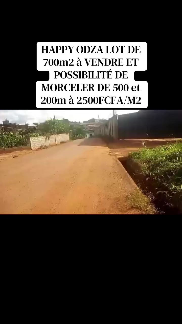 @DINO~IMMO~237🇨🇲🇨🇲