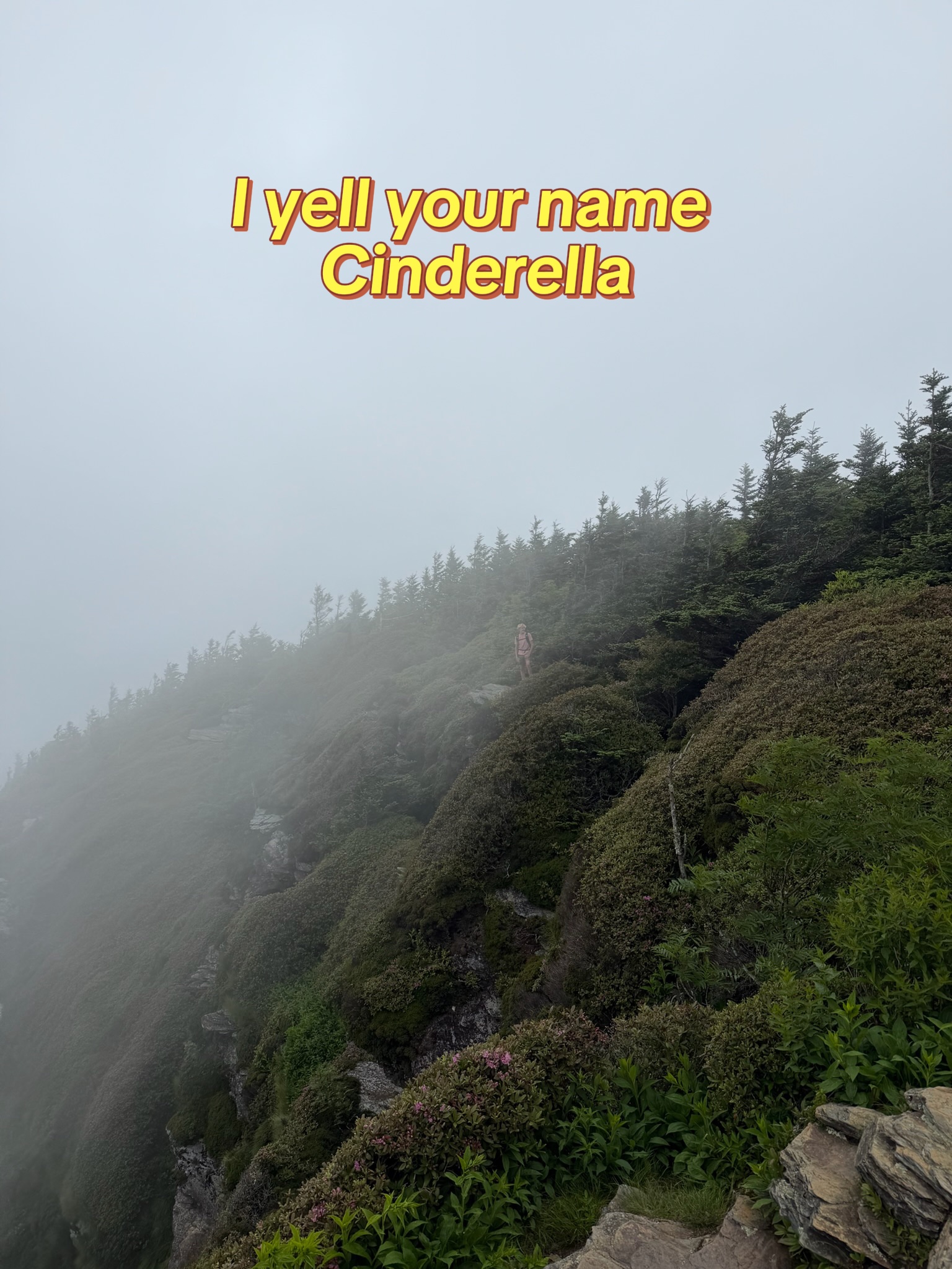 @kailer.peterson
