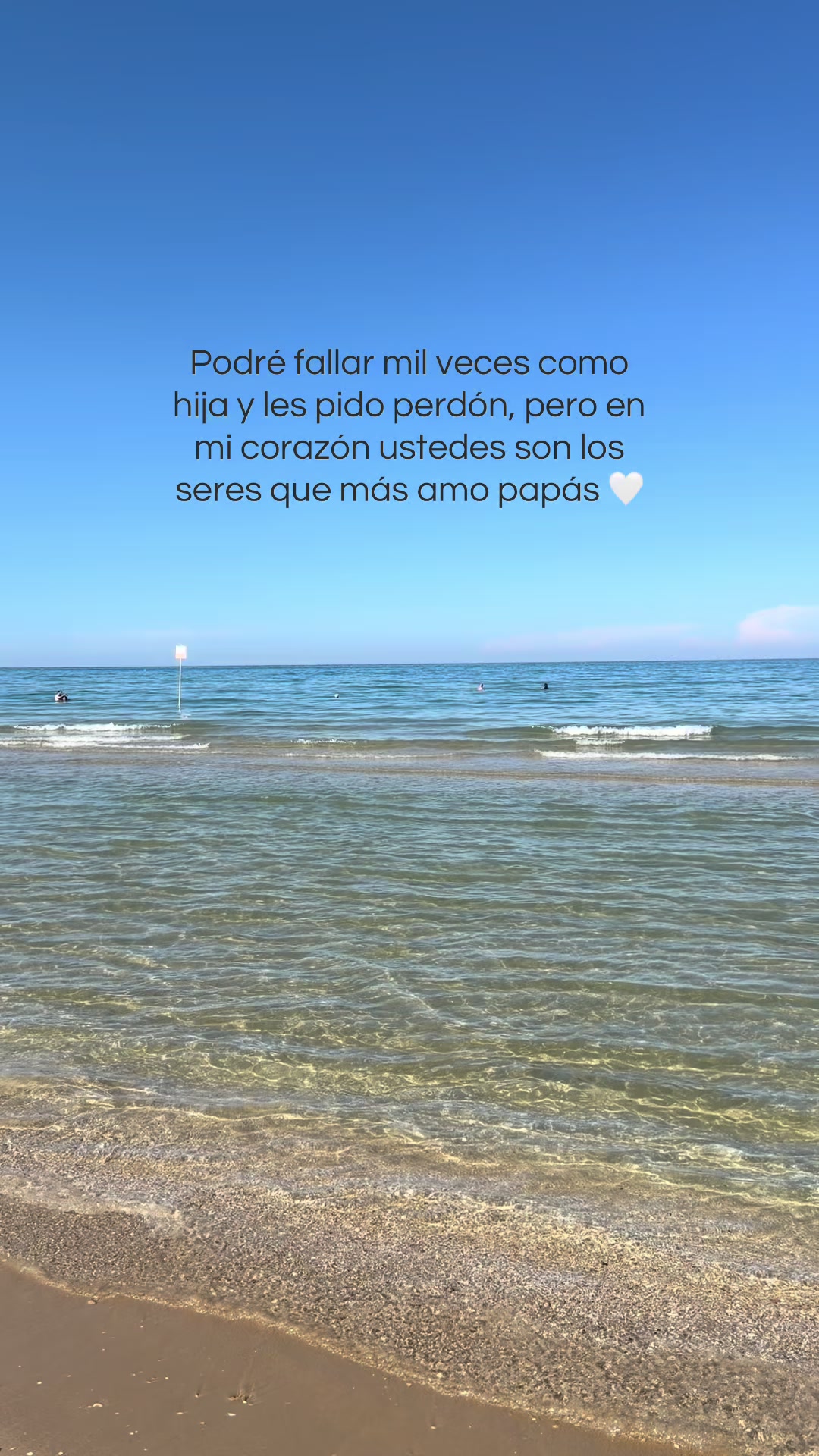 @Monica Elisa Silva Torres