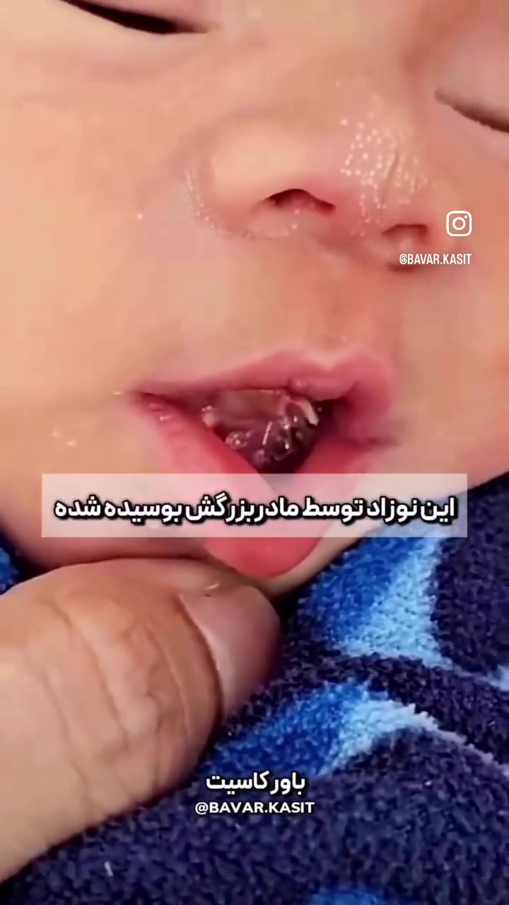@bavar__kasit__1