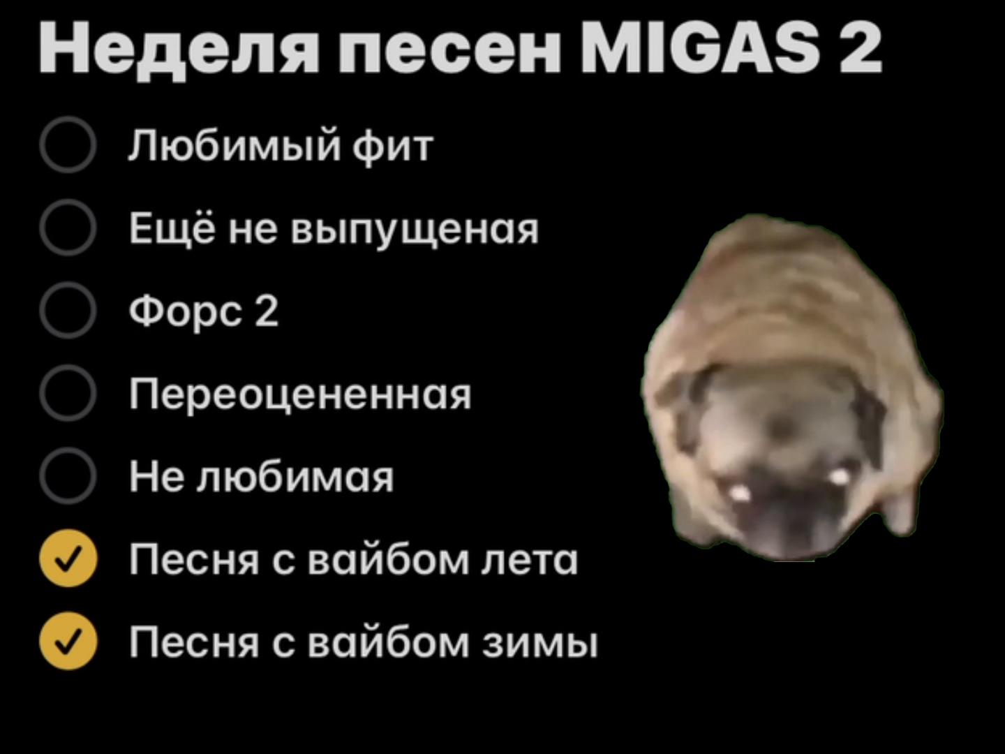 @dj_mewkirr☢️
